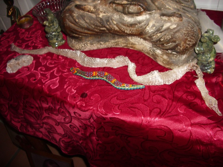 The snake skin altar